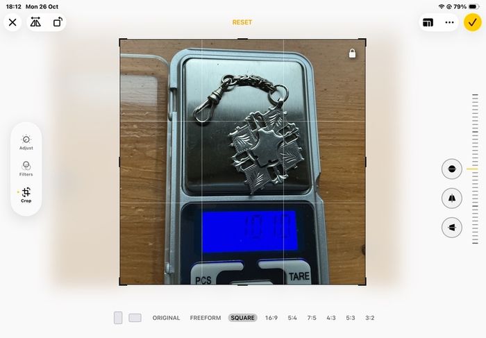 Solid Silver Albert