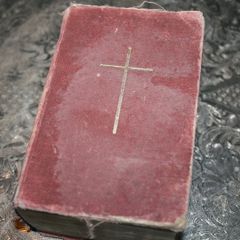 Holy Bible Douay Version