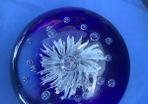 Vintage Paperweight