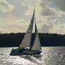 Swift 18 sailboat for sale. Image 3