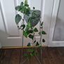 Plant stand Image 4