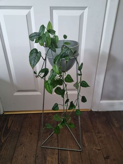 Plant stand