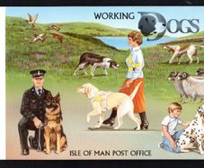 1996 Isle of Man Dogs (Labrador Guide Dog) Commemorative Stamp Miniature Sheet Presentation Pack