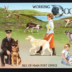 1996 Isle of Man Dogs (Labrador Guide Dog) Commemorative Stamp Miniature Sheet Presentation Pack
