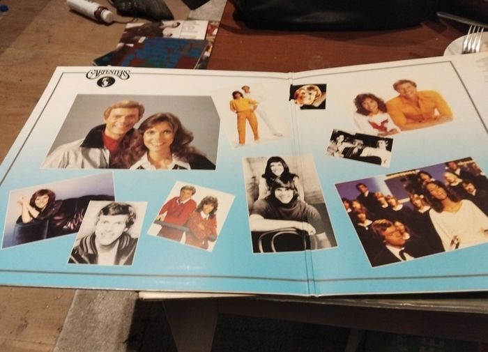 the carpenters vinyl