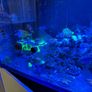 marine Image 2