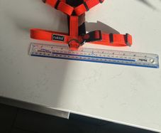 Dog Harness