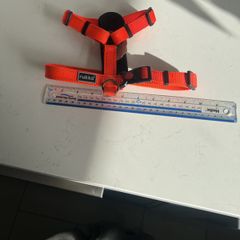Dog Harness