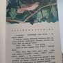 Od Wiosny Do Wiosny Vintage Polish Children's Book 1959 Image 4