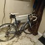 Giant Defy Image 2