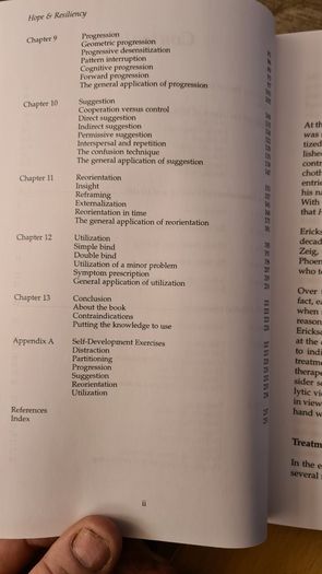 Hope & Resiliency. Understanding The Psychotherapudic Stratagies Of Milton H. Ericsson. Md. Dan Short. Betty  Alice Ericsson. Roxan Ericsson. Hardback With Dustjacket In Very Good Condition.