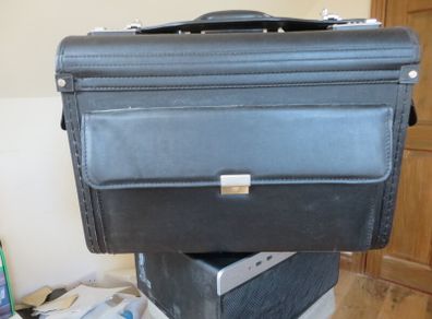 Pilot case