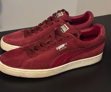 puma swades