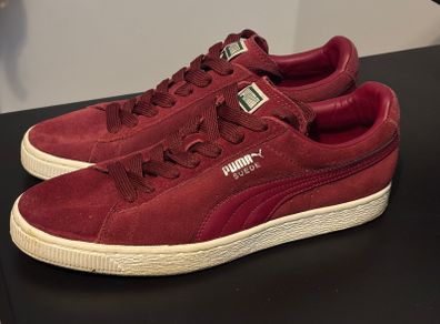 puma swades