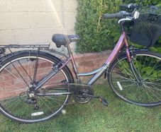 Apollo Elyse Women's Bike with Carrier Basket