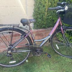 Apollo Elyse Women's Bike with Carrier Basket