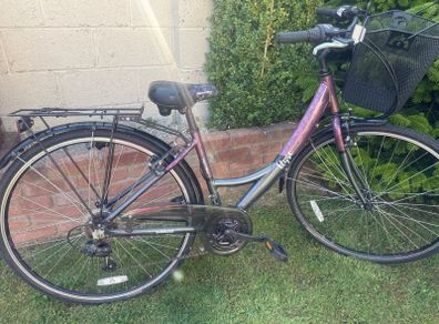 Apollo Elyse Women's Bike with Carrier Basket