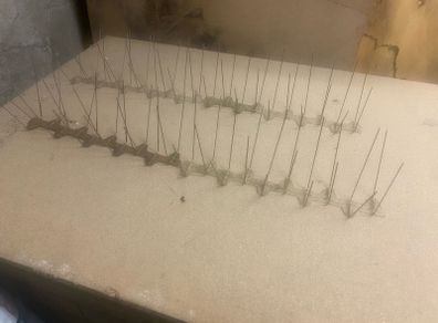Bird anti nesting spikes