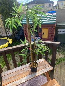 fake plant