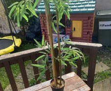 fake plant