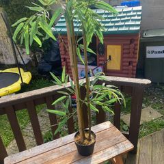 fake plant