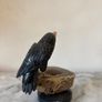 Hand-Carved Gemstone Toucan on Agate Geode Base Image 4