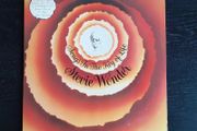 Stevie Wonder