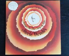 Stevie Wonder