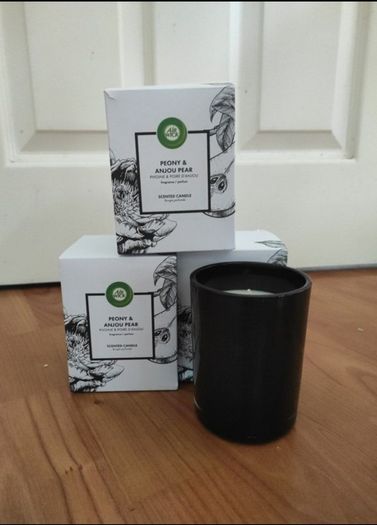 Airwick Candles