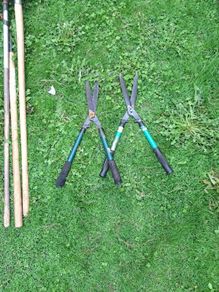 garden shears