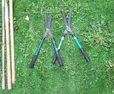 garden shears