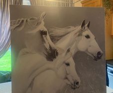 canvas
