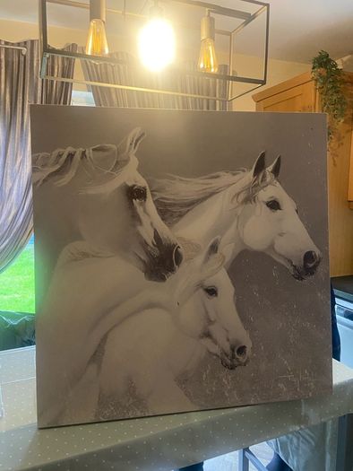 canvas