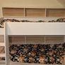 Parisot LEO Bunk Bed with Built-In Storage/Shelving Image 4