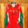 Rathdowney GAA Player Issued Goalkeeper Jersey Image 2