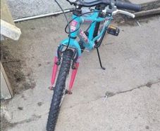 Mint and Green Avery Bike (Very Little Use)