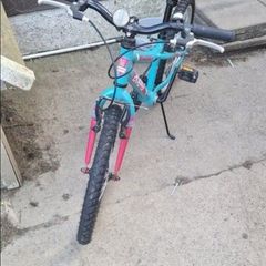 Mint and Green Avery Bike (Very Little Use)