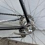 Basso loto Image 7