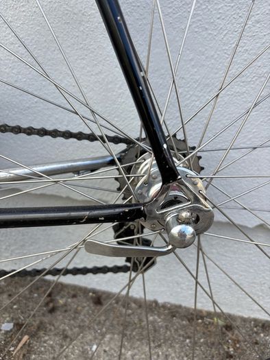 Basso loto