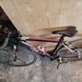 bike Image 2