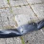 Harley Sportster Style Windscreen Image 2