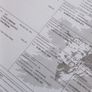 Pbr ch hefers with certs Image 5
