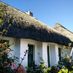 Finlaw
