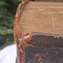 19th Century Family Bible (13x11 inches) Image 9