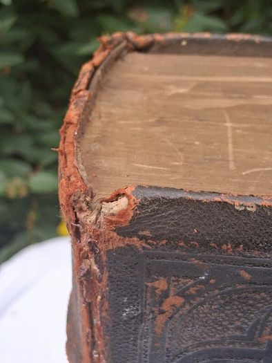 19th Century Family Bible (13x11 inches)