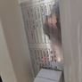 Commercial Display Fridges for Sale Image 3