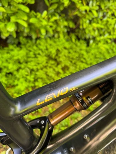 Electric S Works Levo SL