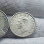 new Zealand silver Image 6