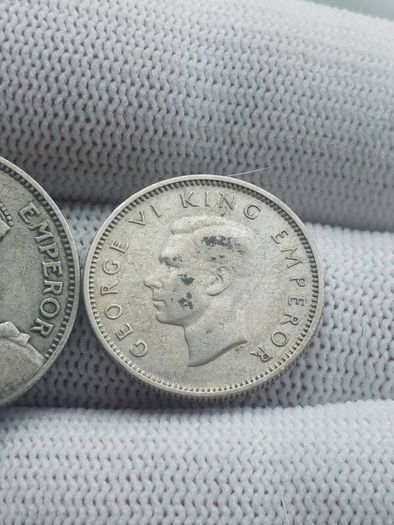 new Zealand silver