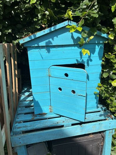 Free Dog Kennel